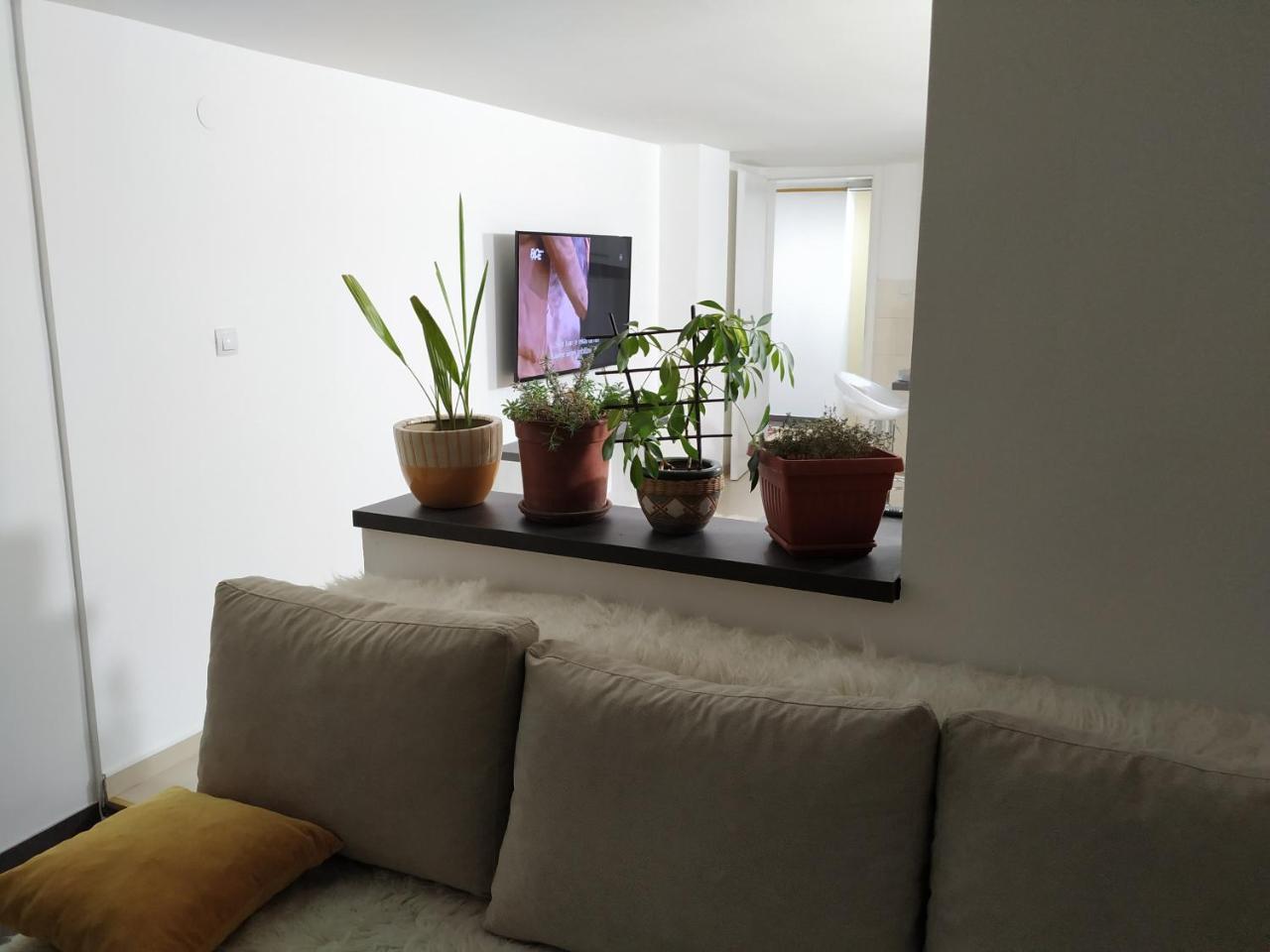 Apartment Merjam サラエヴォ エクステリア 写真